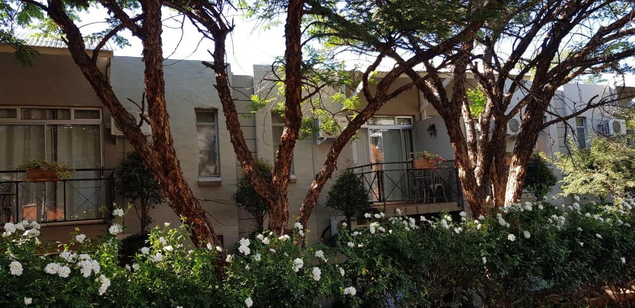 הארטביספורט Villa Paradiso מראה חיצוני תמונה